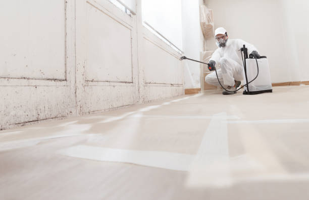 24/7 Emergency Mold Testing experts in Richardsville, VA